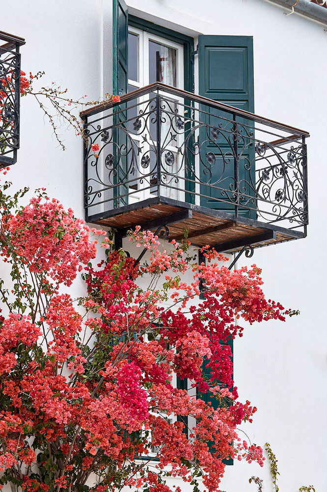 Spetses Retreat Accommodation Exteriér fotografie